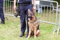 Vermisstenfahndung nach Bergsteiger Polizei bittet