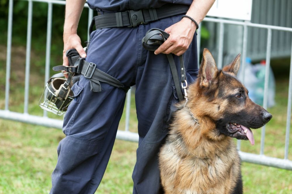 Thermenbesuch führt zu drei verletzten Polizeibeam