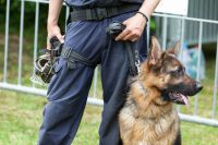 Thermenbesuch führt zu drei verletzten Polizeibeam