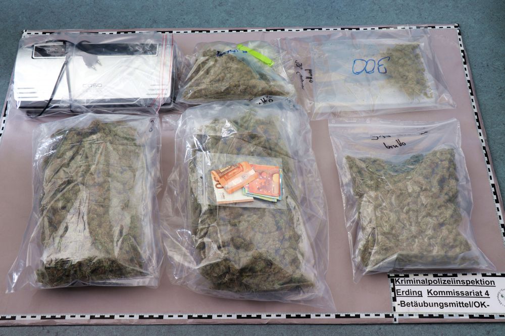 1 6 Kilogramm Marihuana im Kleiderschrank