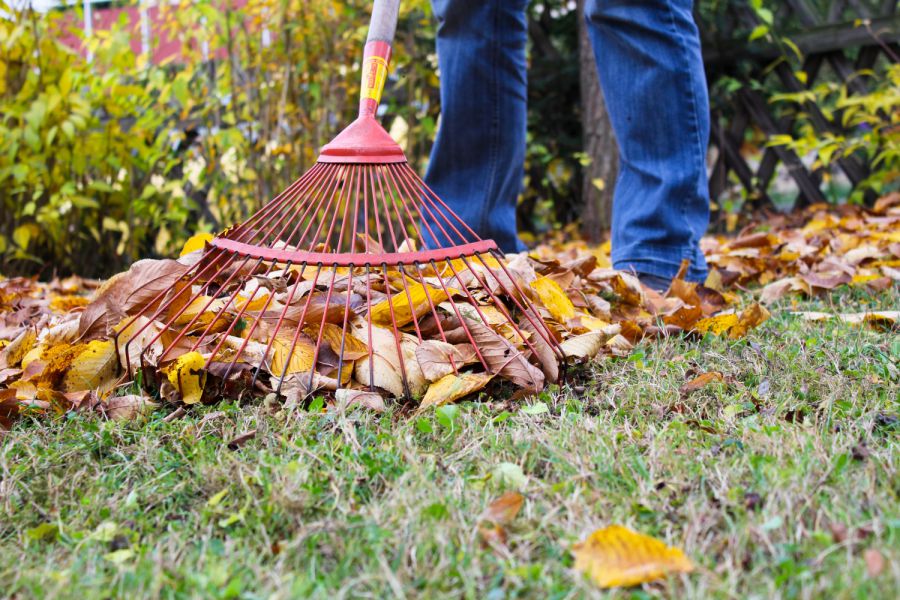 KIRCHSEEON Gartenabfallsammlung Montag 21 10 2019