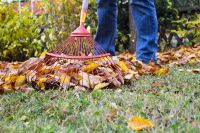 KIRCHSEEON Gartenabfallsammlung Montag 21 10 2019