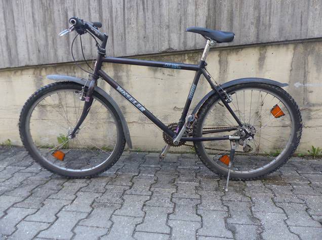 POING Betrunkene vermeintliche Fahrraddiebe von Po