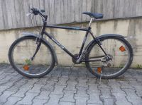 POING Betrunkene vermeintliche Fahrraddiebe von Po
