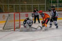 STARBULLS Junioren siegen in Spitzenspielen