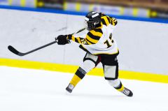 Tätliche Auseinandersetzungen beim Eishockey