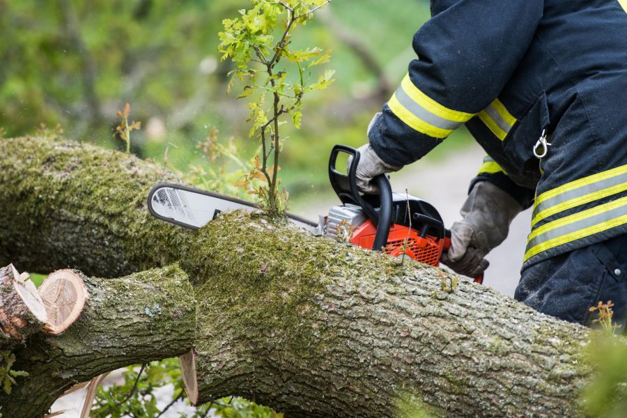 Traktor brennt im Wald