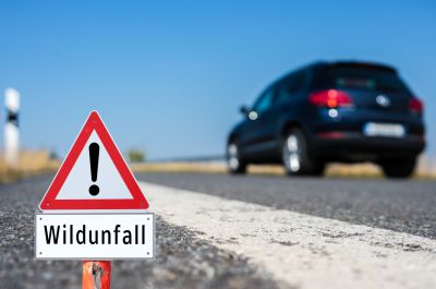 Frauenneuharting Wildunfall mit Personenschaden