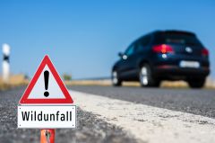 Frauenneuharting Wildunfall mit Personenschaden