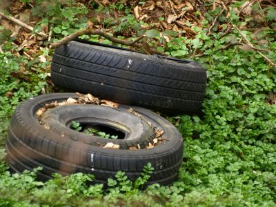 Mehrere Müllablagerungen in Anzing und Markt Schwa