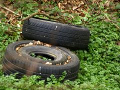 Mehrere Müllablagerungen in Anzing und Markt Schwa