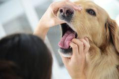 Eglharting Warnhinweis zu Tierködern