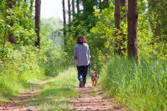 Pliening Vom Jagdinstinkt geleitet Hundehalter auf